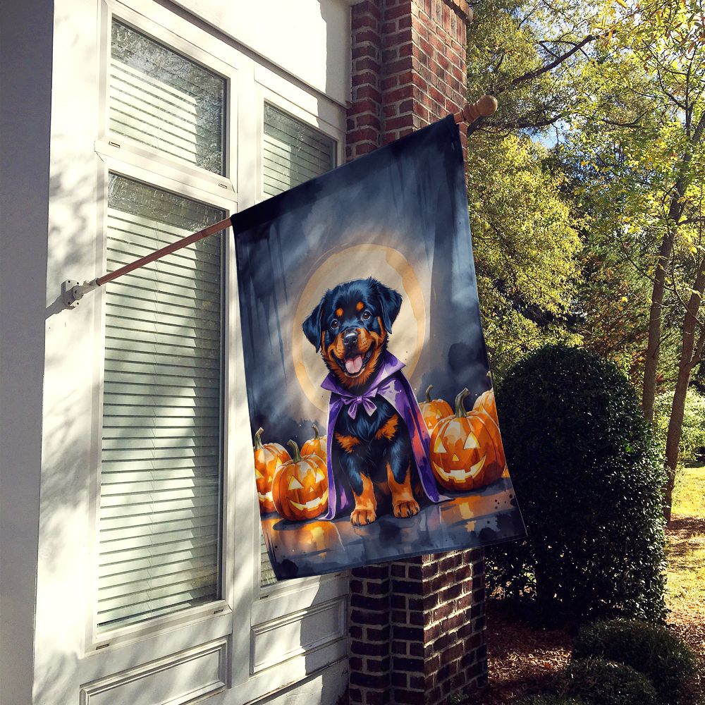 Rottweiler Puppy Halloween House Flag House-Size Decorative Flag - product view 2
