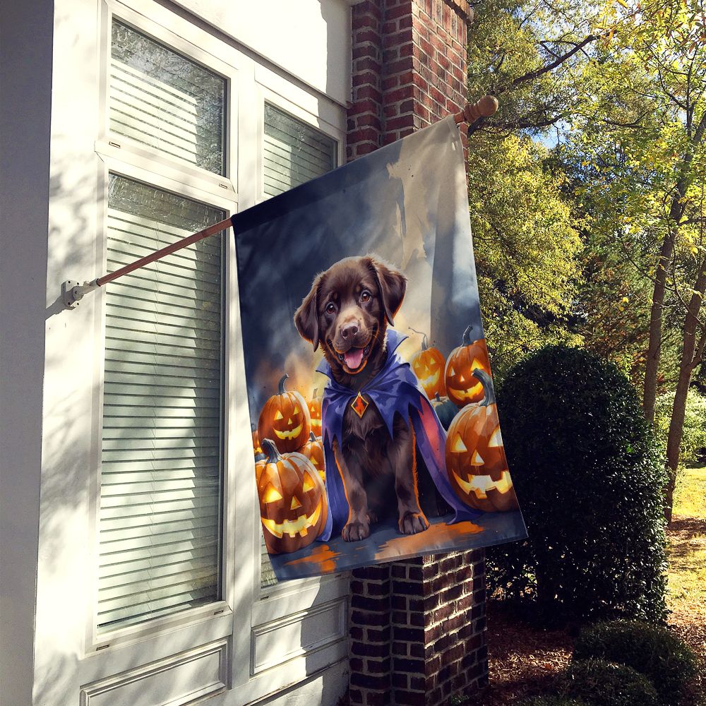 Chocolate Labrador Retriever Puppy Halloween House Flag House-Size Decorative Flag