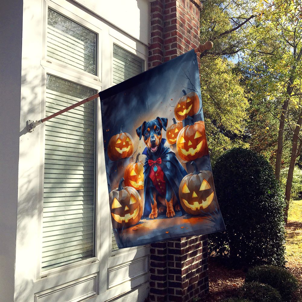 Doberman Pinscher Puppy Halloween House Flag House-Size Decorative Flag