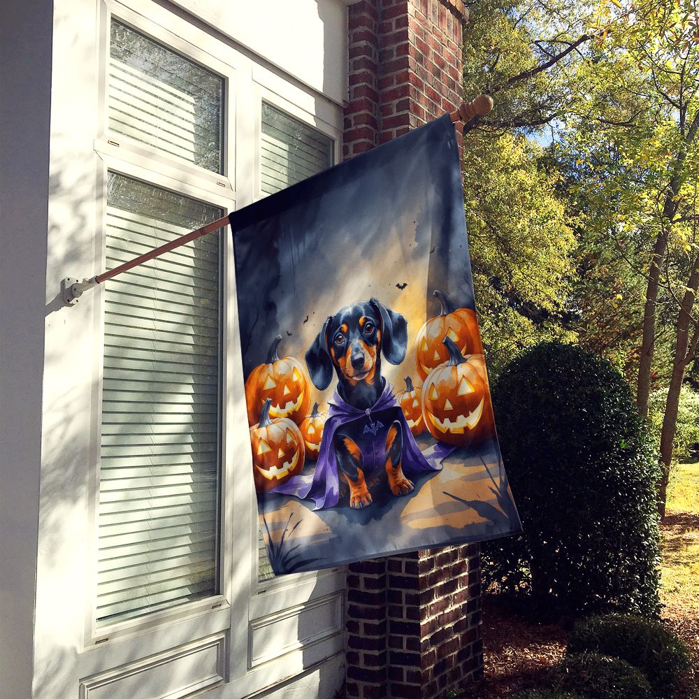 Dachshund Puppy Halloween House Flag House-Size Decorative Flag - product view 2