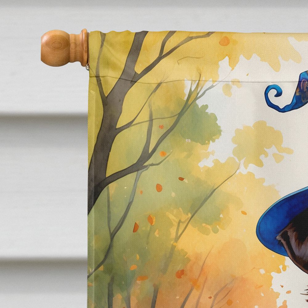 Chocolate Labrador Retriever Halloween Trick or Treat House Flag House-Size Decorative Flag - product view 3